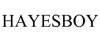 HAYESBOY