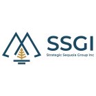 SSGI STRATEGIC SEQUOIA GROUP INC