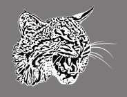 VINTAGE WILDCAT