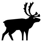 Image Trademark