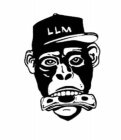 LLM