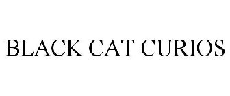 BLACK CAT CURIOS