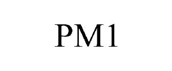 PM1