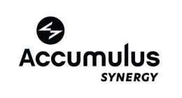 ACCUMULUS SYNERGY