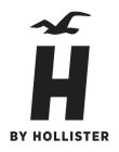 H BY HOLLISTER