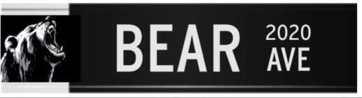 BEAR 2020 AVE