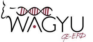 WAGYU GE-EPD