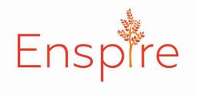 ENSPIRE