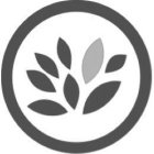 Image Trademark