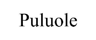 PULUOLE