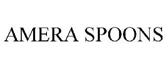 AMERA SPOONS
