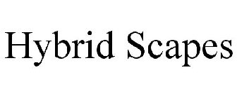 HYBRID SCAPES