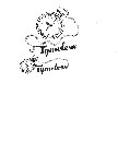 TYMELESS