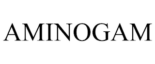 AMINOGAM