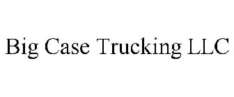 BIG CASE TRUCKING LLC