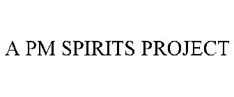 A PM SPIRITS PROJECT