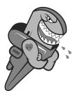 Image Trademark