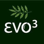 EVO3