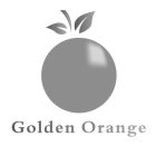 GOLDEN ORANGE