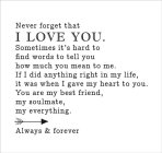 NEVER FORGET THAT I LOVE YOU. SOMETIMES IT'S HARD TO FIND WORDS TO TELL YOU HOW MUCH YOU MEAN TO ME. IF I DID ANYTHING RIGHT IN MY LIFE, IT WAS WHEN I GAVE MY HEART TO YOU. YOU ARE MY BEST FRIEND, MY 