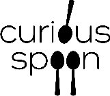 CURIOUS SPOON