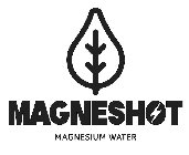 MAGNESHOT MAGNESIUM WATER