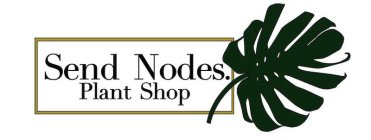 SEND NODES. PLANT SHOP