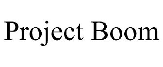 PROJECT BOOM