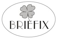 BRIEFIX