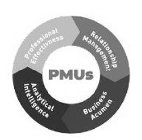 PMUS PROFESSIONAL EFFECTIVENESS RELATIONSHIP MANAGEMENT ANALYTICAL INTELLIGENCE BUSINESS ACUMENSHIP MANAGEMENT ANALYTICAL INTELLIGENCE BUSINESS ACUMEN