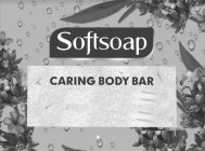 SOFTSOAP CARING BODY BAR