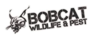 BOBCAT WILDLIFE & PEST