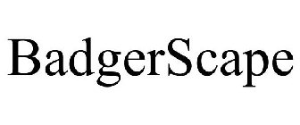 BADGERSCAPE