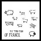 THE LITTLE SHEEP OF FRANCE