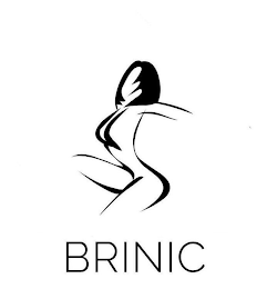 BRINIC