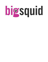 BIGSQUID