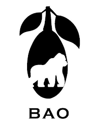 BAO