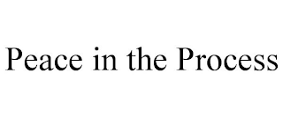 PEACE IN THE PROCESS