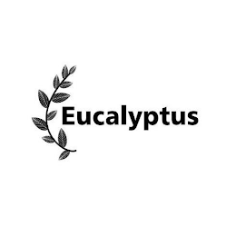 EUCALYPTUS