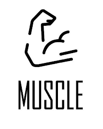 MUSCLE