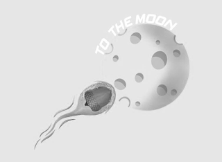 TO THE MOON