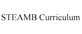 STEAMB CURRICULUM