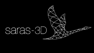 SARAS-3D