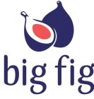 BIG FIG