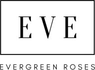 EVE EVERGREEN ROSES