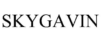 SKYGAVIN