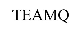 TEAMQ