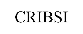 CRIBSI