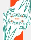 JALISCO ORANGE 1562