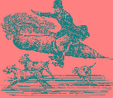 Image Trademark